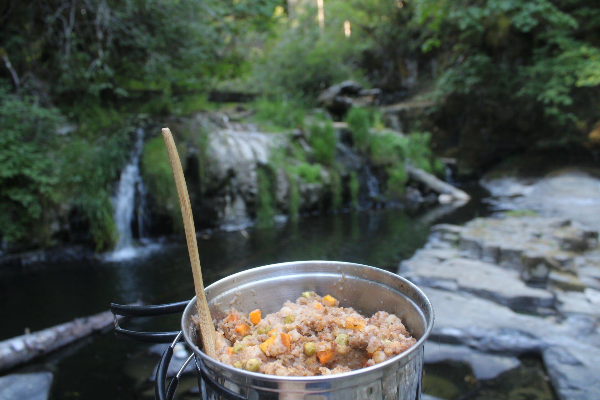 Savoury Shepherd's Pie with Beef