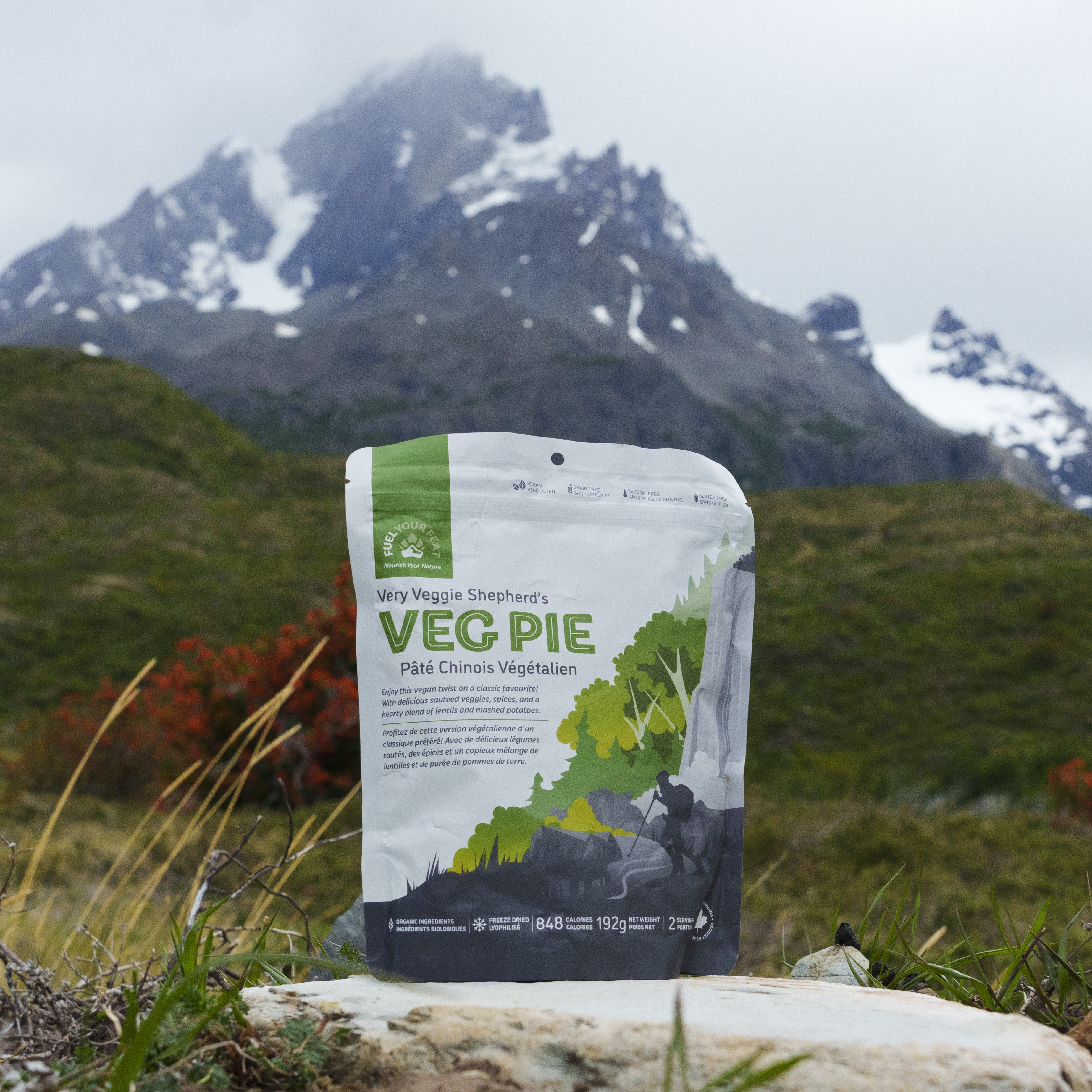 Very Veggie Shepherd's Pie